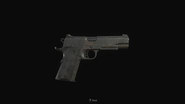Kimber Desert Warrior 1911