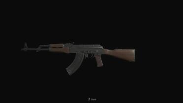 Counter Strike 2 - AK-47