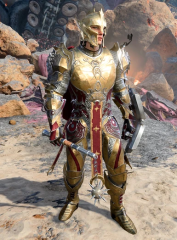 Chosen of Lathander's Armoury
