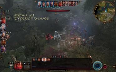Damage Preview