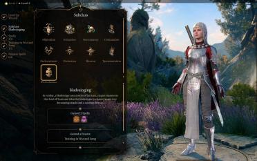 Elven Light Armor