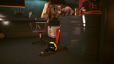 Judy statue in apartment