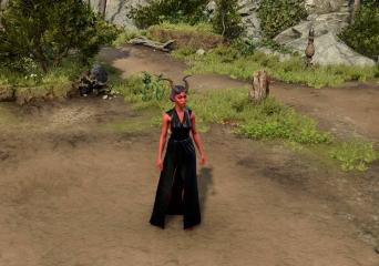 Sharlotte's Dress