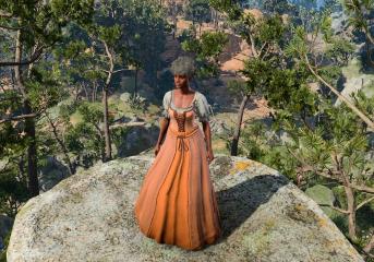 Sharlotte's Dress