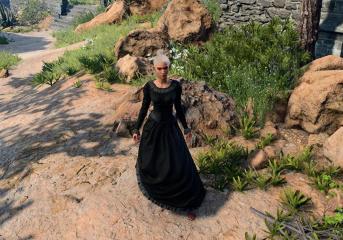 Sharlotte's Dress