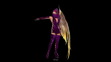 Ada Assassin Angel