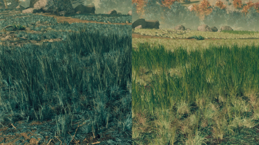 Green Grass