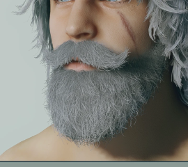 HD 4K Beards