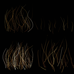 HD 4K Beards