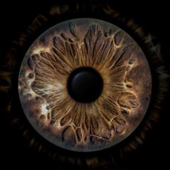 4k Natural and Realisitic Eyes Textures