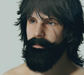 HD 4K Beards