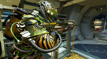Camo Pirate