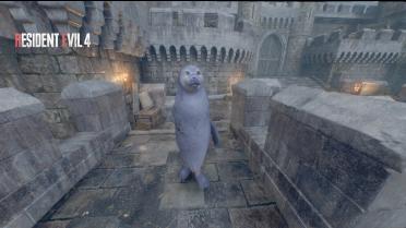 Harbor Seal - Ada
