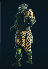 Camo Pirate