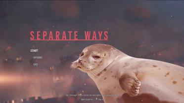 Harbor Seal - Ada