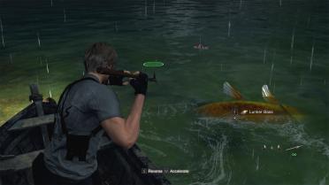 Koi Fish