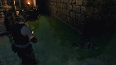 Koi Fish