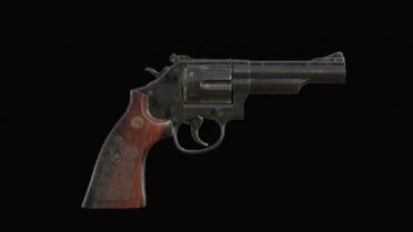 SW Model 19
