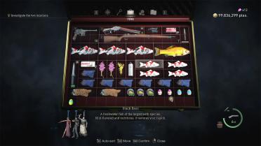 Koi Fish