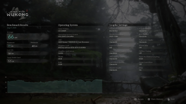 Lower Visual Effects - Increase FPS