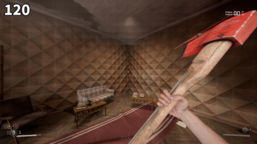 Custom FOV
