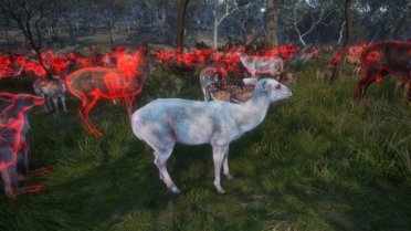 armes cheat