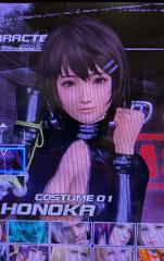 DOA5 TSUKUSHI (Honoka)