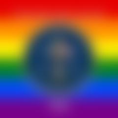 Transvestite cops and swat